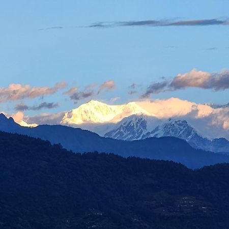 Red Panda Jungle Camp - A Unit Of Davinchi Homes Pvt Ltd Gyalshing Eksteriør bilde