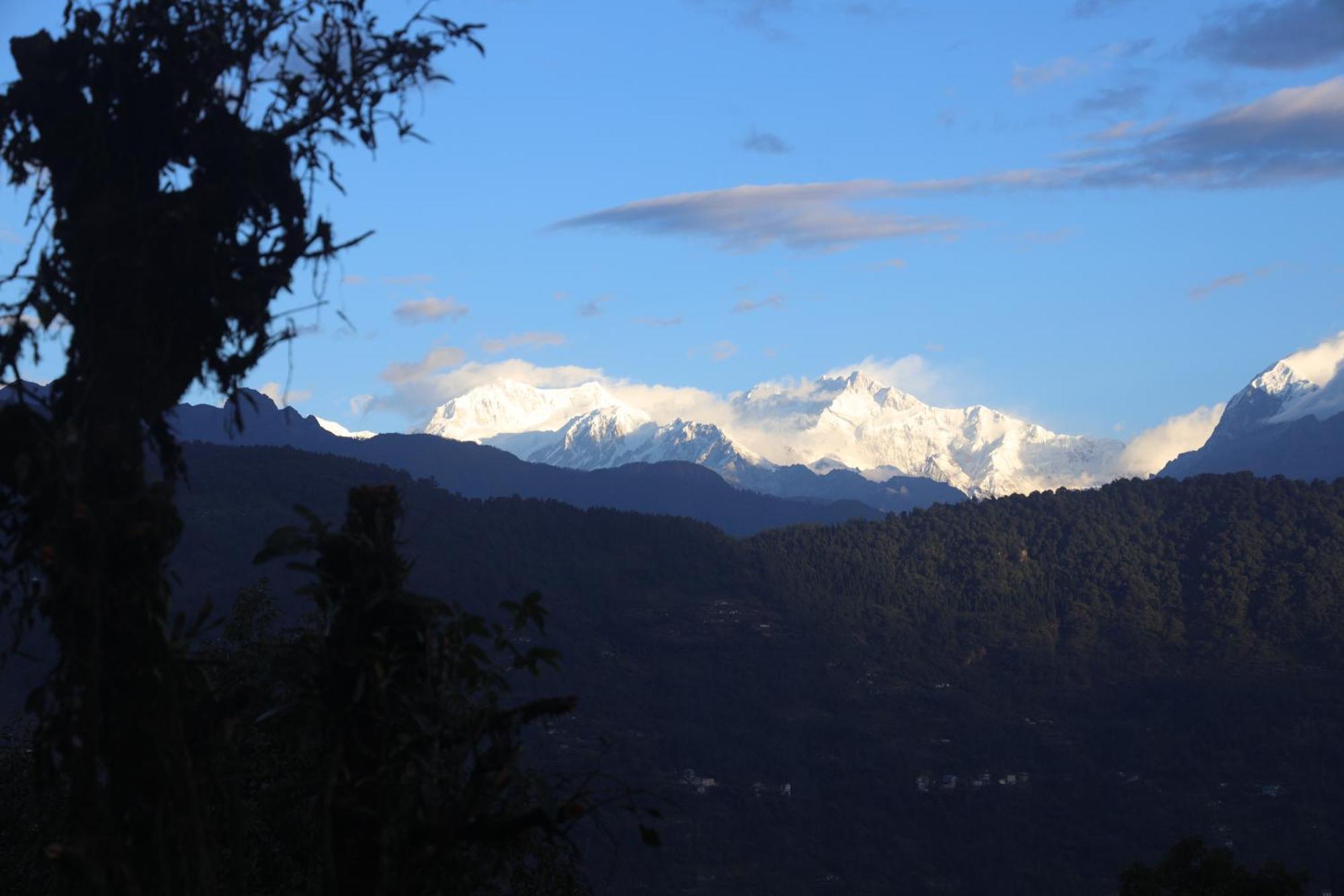 Red Panda Jungle Camp - A Unit Of Davinchi Homes Pvt Ltd Gyalshing Eksteriør bilde