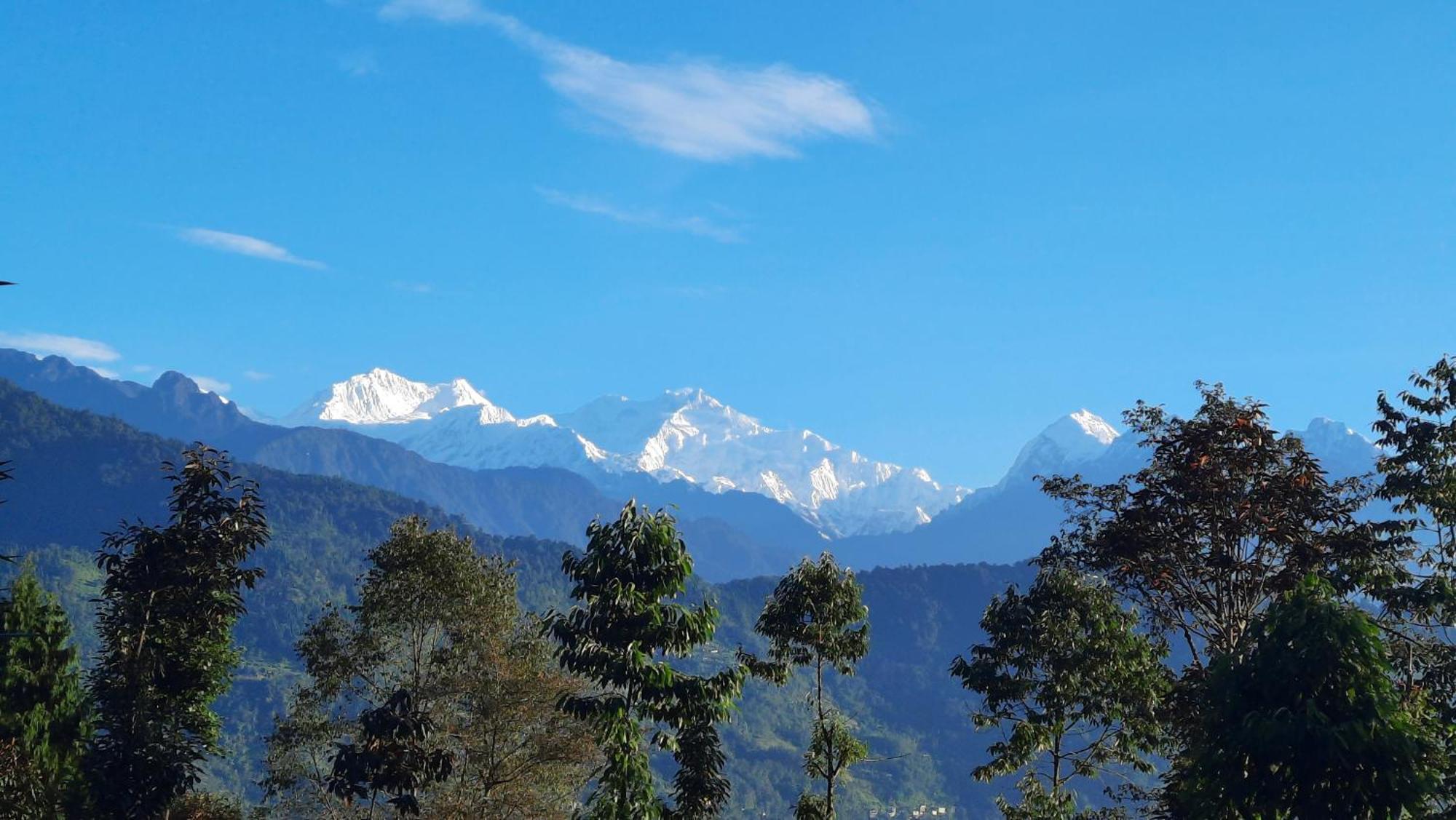 Red Panda Jungle Camp - A Unit Of Davinchi Homes Pvt Ltd Gyalshing Eksteriør bilde